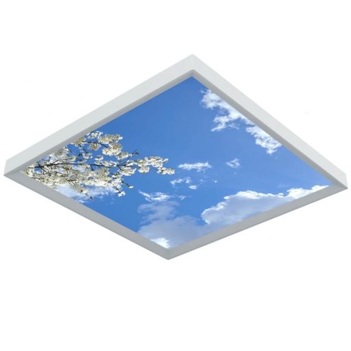 Panneaux LED décoratifs photo Céleste dans votre clinique dentaire