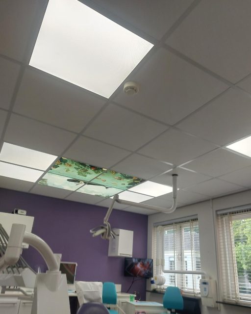 Panneaux LED décoratifs, rétro éclairés avec motifs Pimpelmees – Image 7