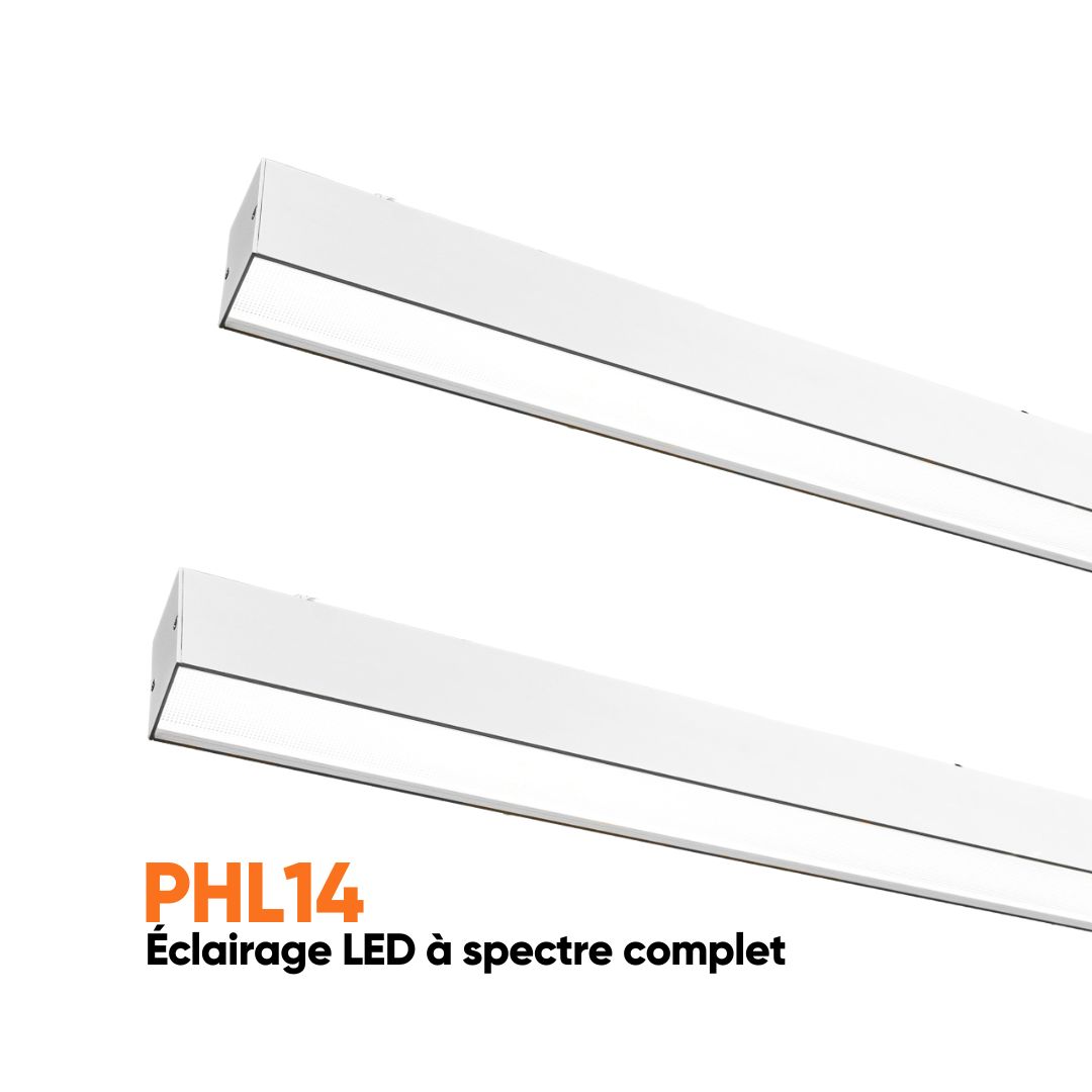 Dentled - Éclairage LED à spectre complet