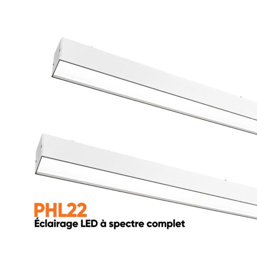 Luminaire LED lumière du jour à spectre complet PHL pour les salles de traitement dentaire