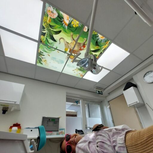 Panneaux LED décoratifs, rétro éclairés avec motifs Pimpelmees