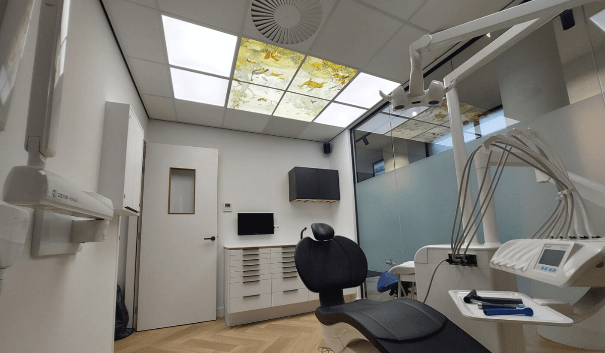 Dentled-LED-pimpelmees-Photo-panel