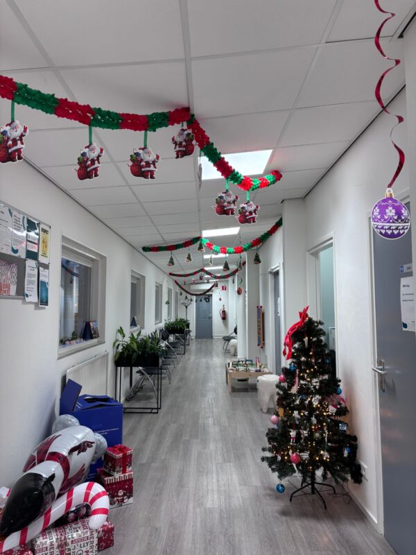 Panneaux LED DentLED DL60 à lumière du jour, ergonomiques et respectueux des yeux, dans les salles de soins du cabinet dentaire De Oude Vest, améliorant l’éclairage naturel et le confort de l’équipe dentaire.