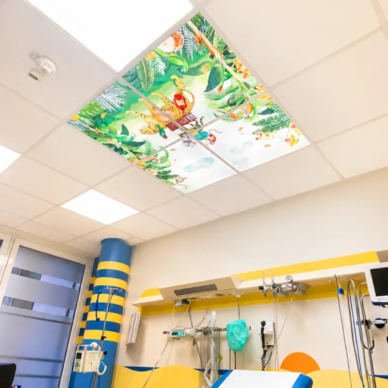 Panneaux photo LED Dentled personnalisés avec des images apaisantes de mésanges bleues, installés dans un service de pédiatrie hospitalier.